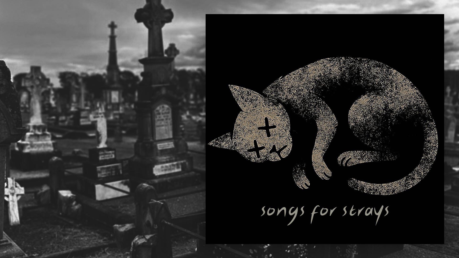 Celebrating our first 50